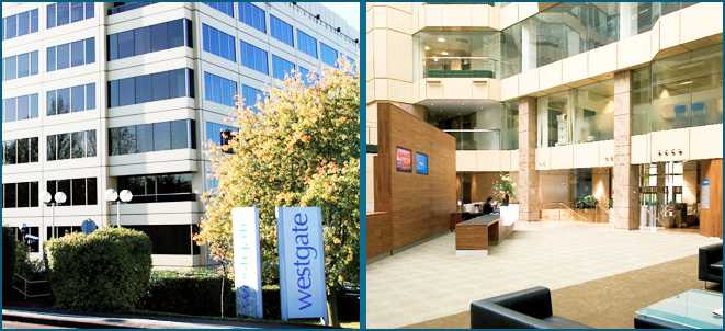 PBDS, Professional & Broadcast Digital Systems, Broadcast Systems Integrators